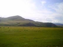 PICT0076